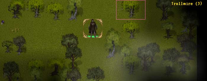 b35_levitating_trees.jpg