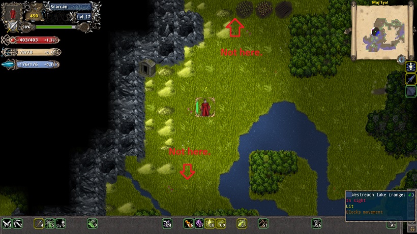 Wild bug.jpg
