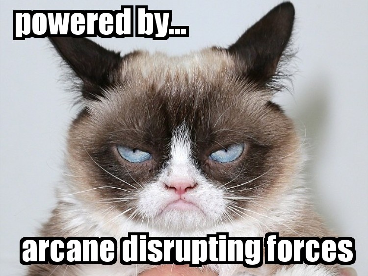 lolcat5a75da8fc35639becb3cb83cf78723ecfa45b38e.jpg