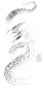 vermin_huge_time_worm.png