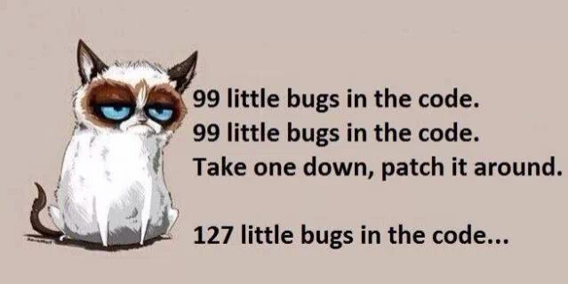 bugs in  the code.jpg