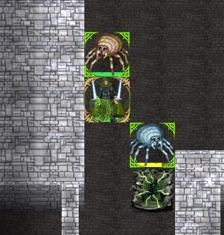 Spiders