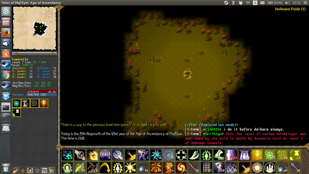 Screenshot of my Cornac Paradox Mage stuck in the Hallowed Fields